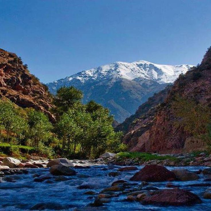 Marrakech architecture