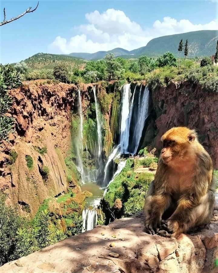 Marrakech architecture
