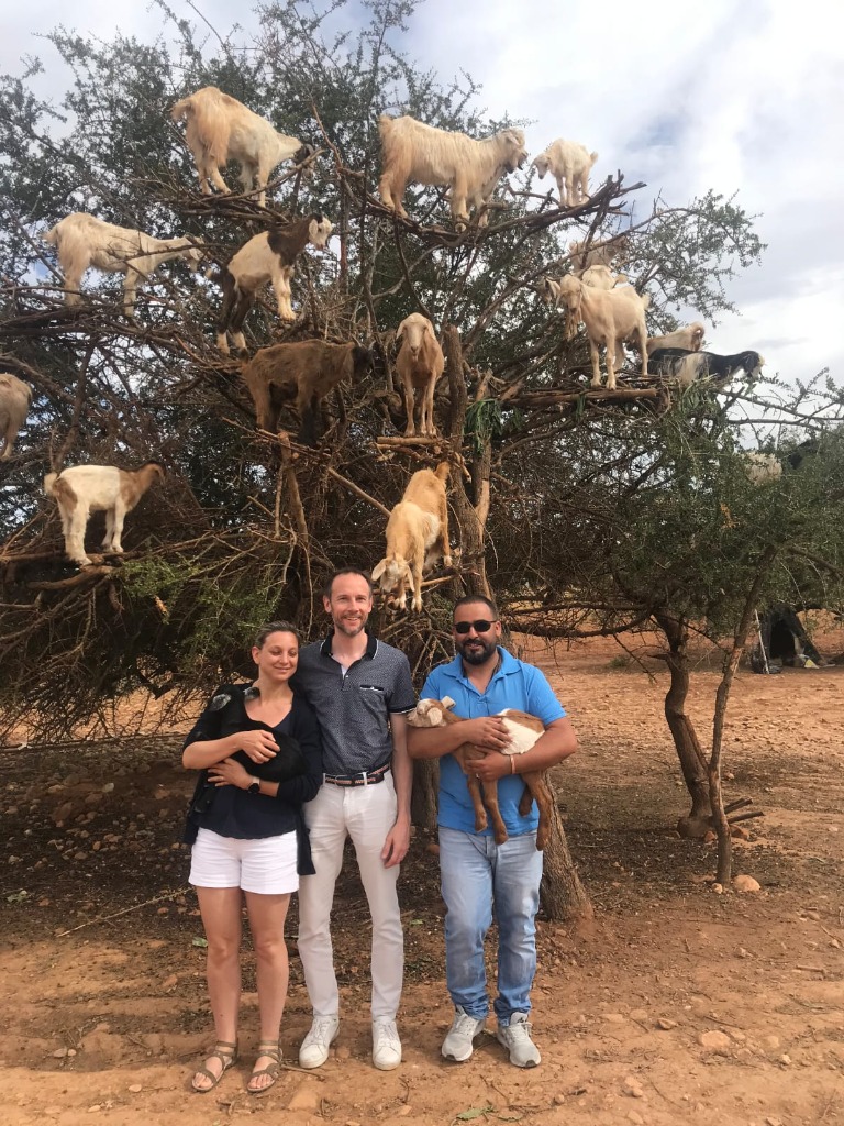Couple with climbing goats